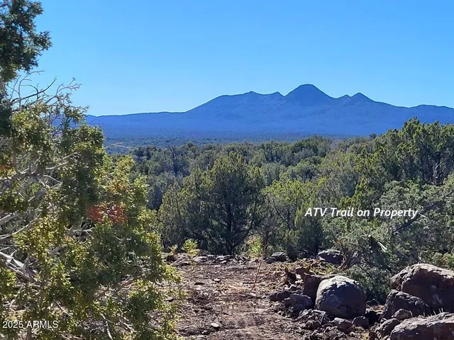 a view of street sign