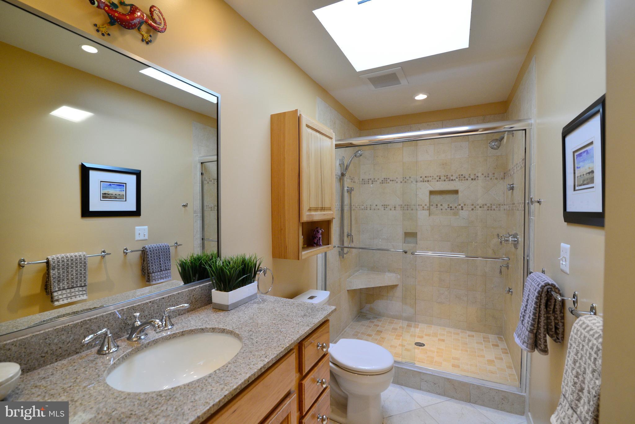 11303 South Shore Road Reston, VA 20190 - Photo 20 of 30 a bathroom with a sink a toilet and shower