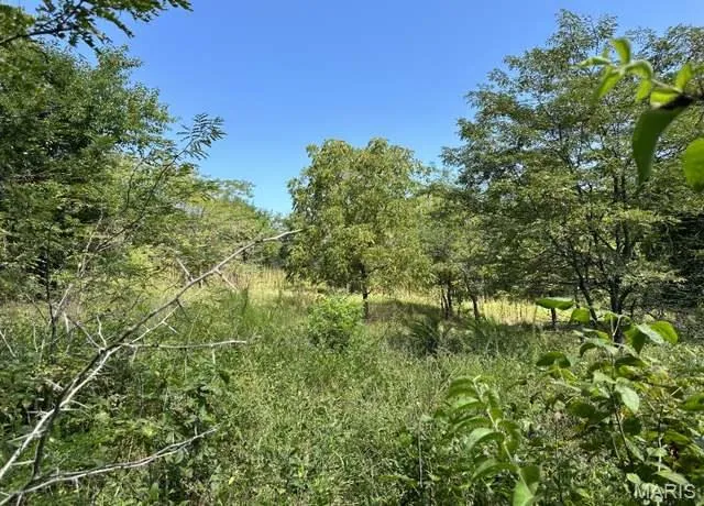 $7,500 | 582-583 Manchester Lane, Camdenton, MO 65020