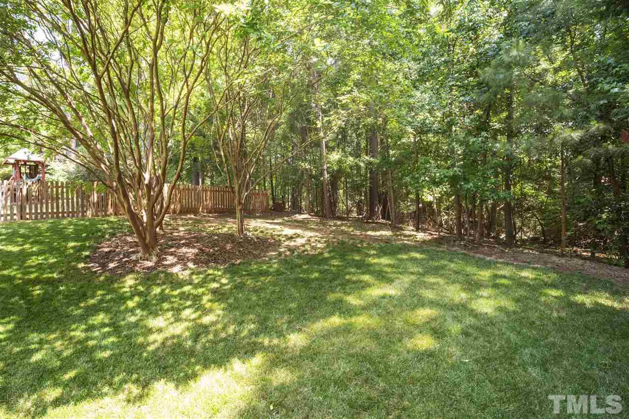10228 River Bank Drive Raleigh, NC 27614 - Photo 26 of 29 a view of outdoor space with trees