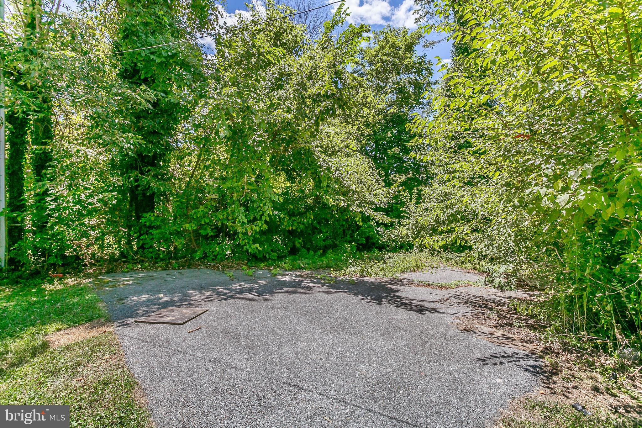 4205 Wentworth Road Baltimore, MD 21207 - Photo 24 of 33 Tons of greenery