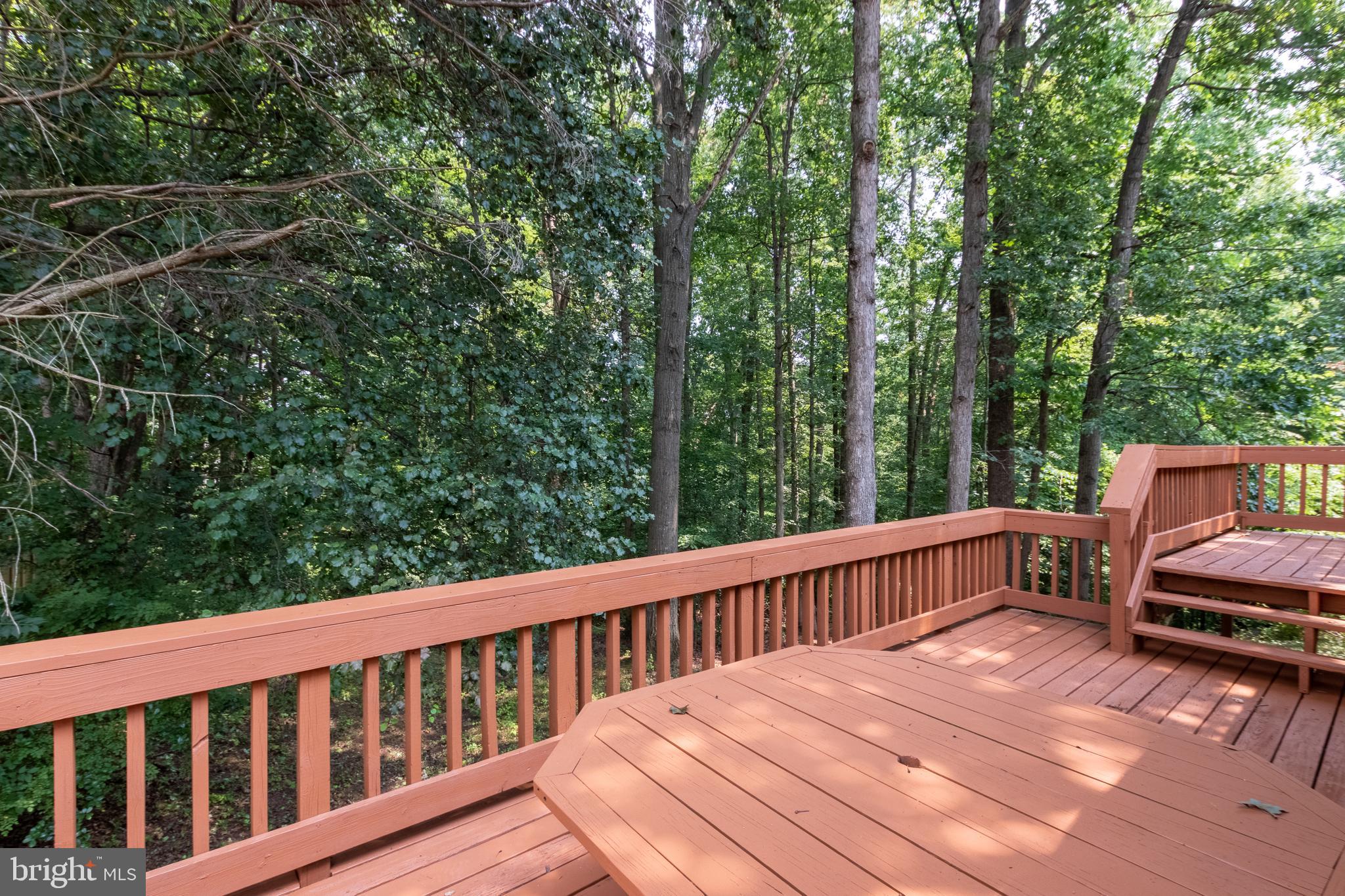 6835 Camus Place Springfield, VA 22152 - Photo 42 of 48 Gallery Image 42