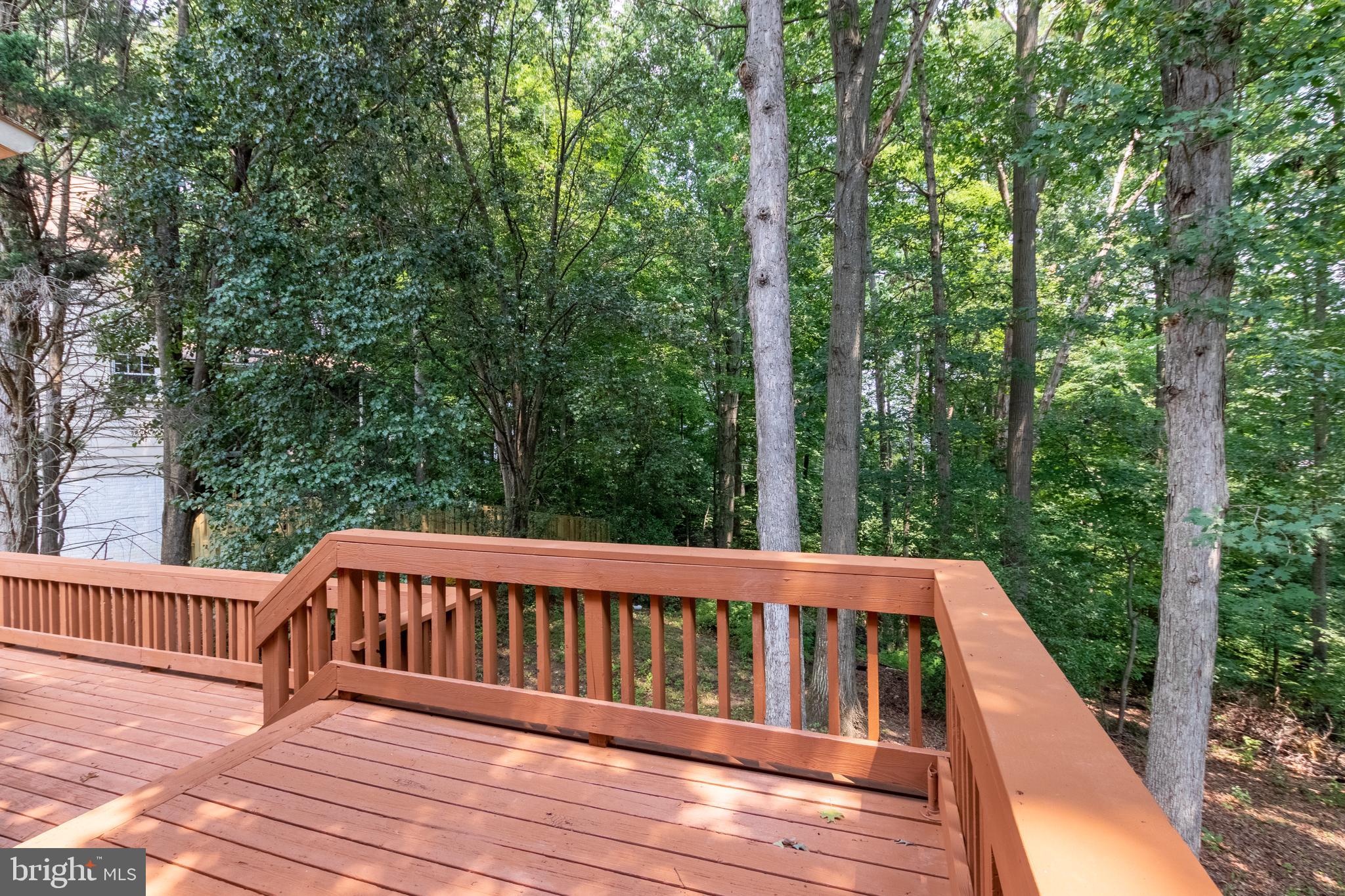 6835 Camus Place Springfield, VA 22152 - Photo 44 of 48 Gallery Image 44