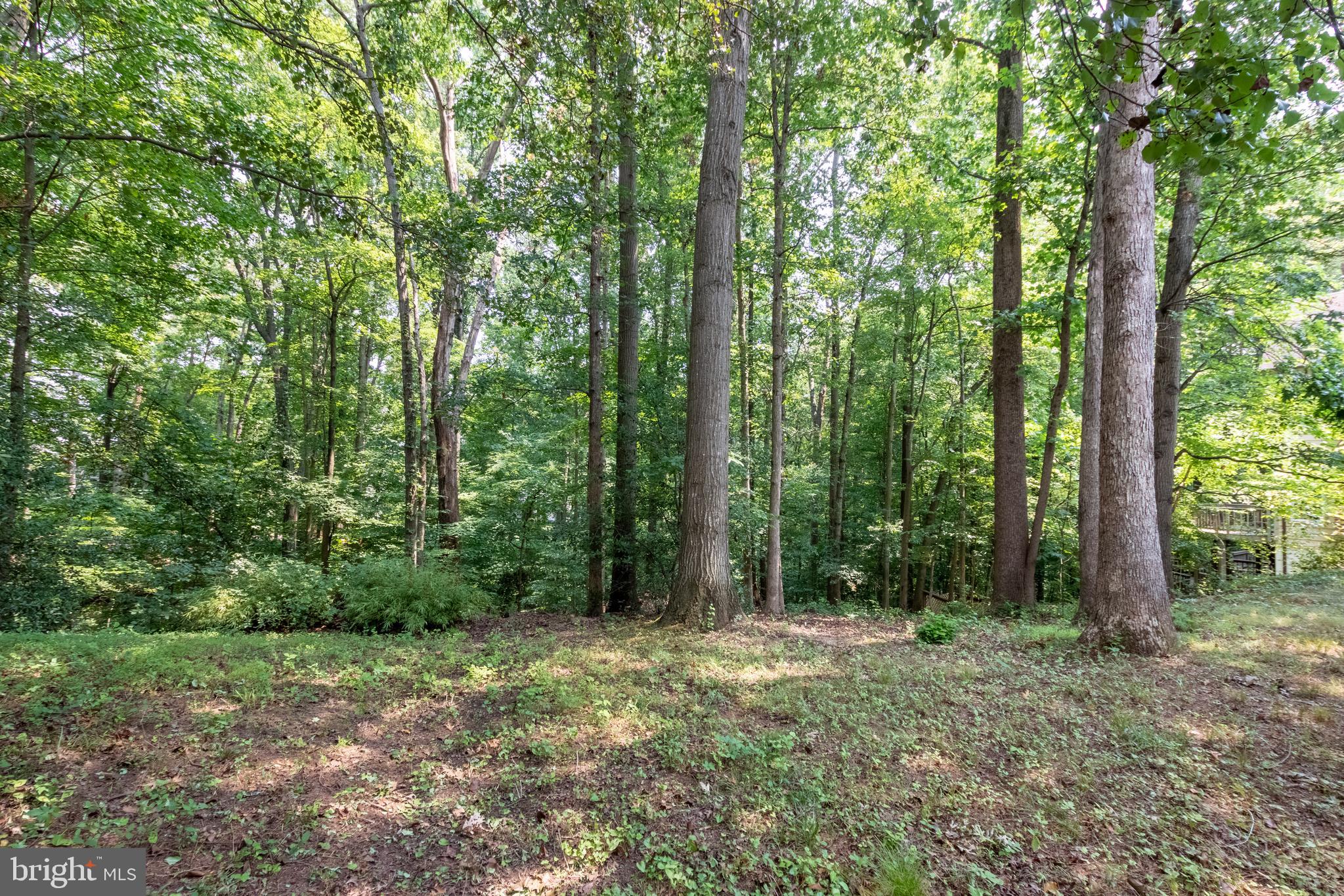 6835 Camus Place Springfield, VA 22152 - Photo 45 of 48 Gallery Image 45
