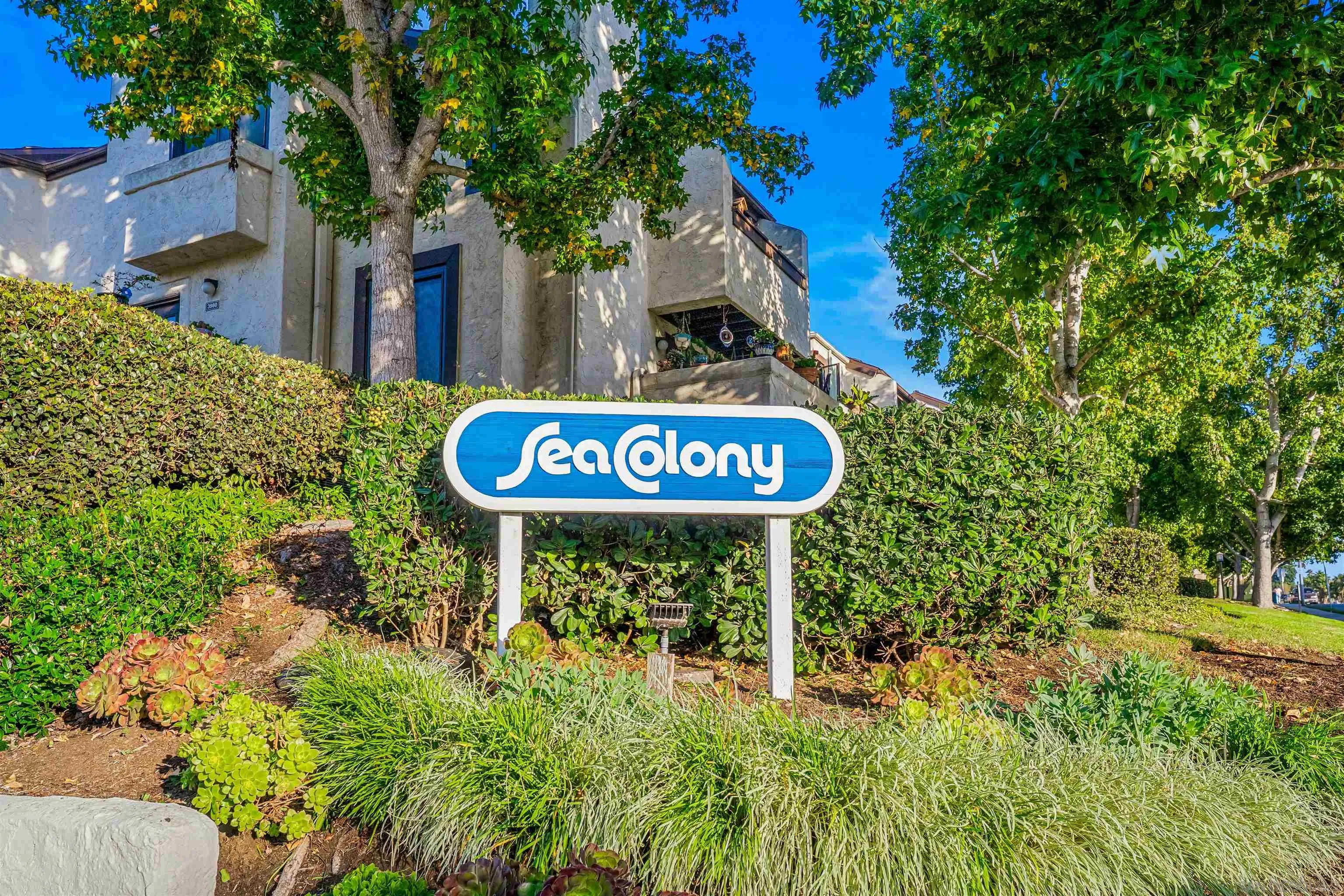 3926 Voltaire Street San Diego, CA 92107 - Photo 22 of 30 a view of a street sign with large trees