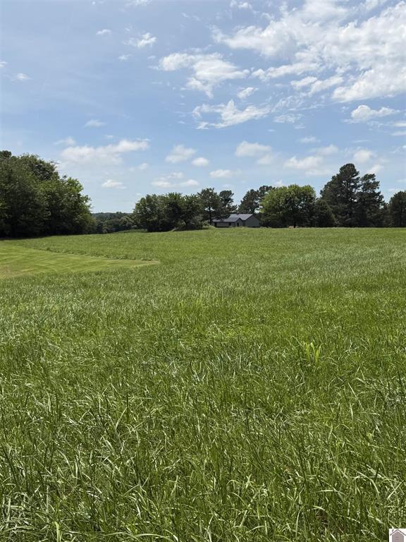 2510 Olive Hamlet Road Benton, KY 42025 - Photo 26 of 30 5