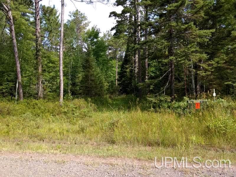 Unit 38-tbd Little Rice Lake Road, Unit 38 Lake Linden, MI 49945 - Photo 20 of 28