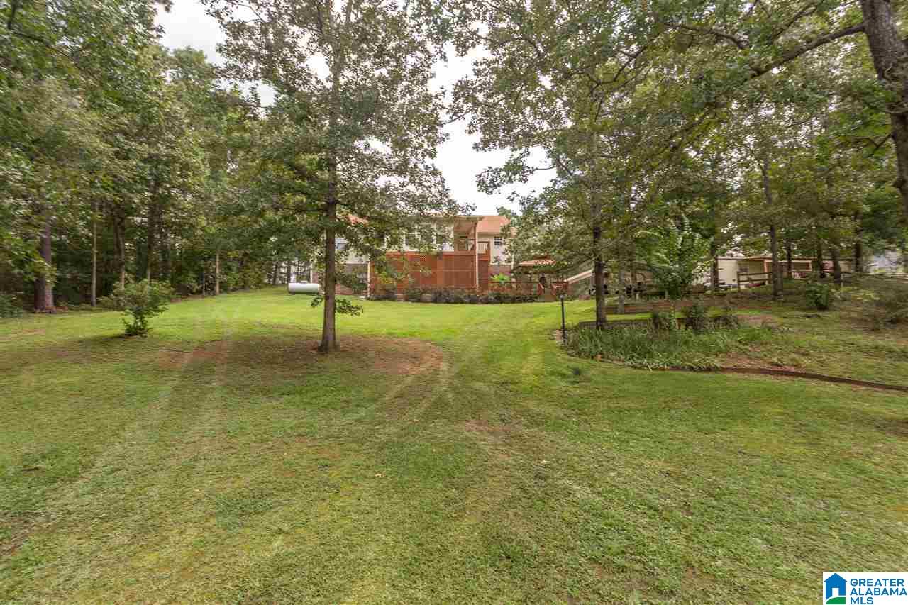 59 Lakeview Drive Oneonta, AL 35121 - Photo 42 of 49