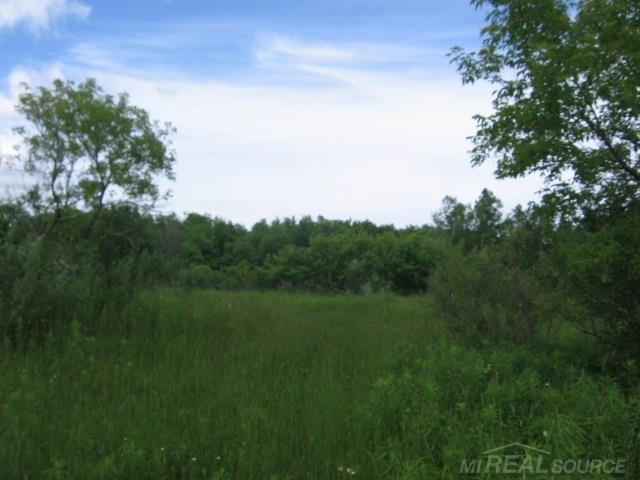 Tbd Burns Line Croswell, MI 48422 - Photo 5 of 19