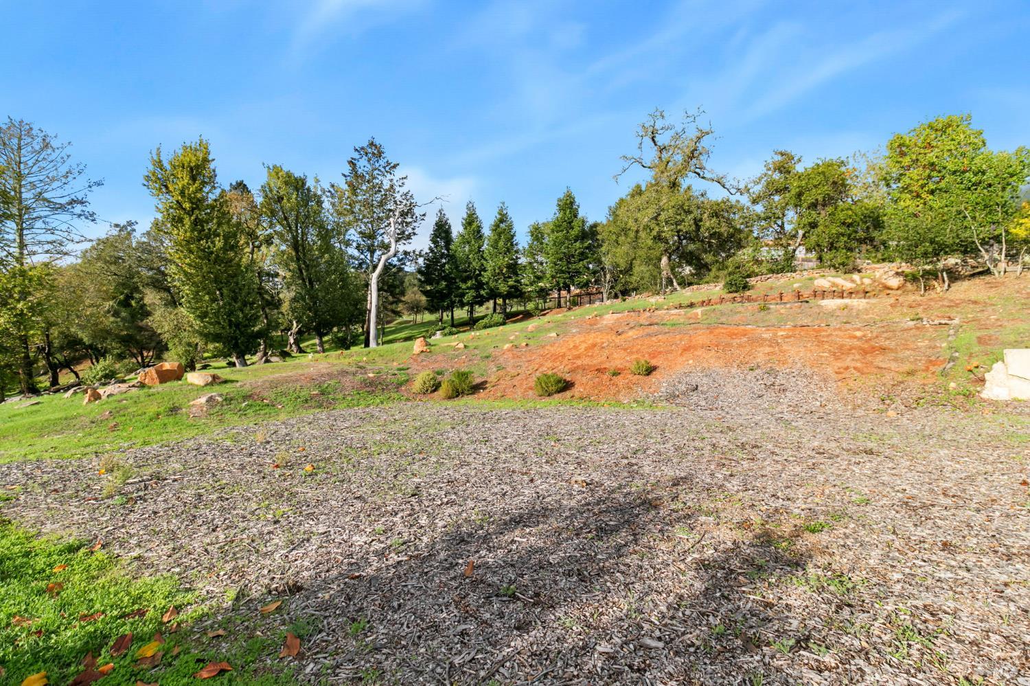 3903 Parker Hill Road Santa Rosa, CA 95404 - Photo 14 of 36 a backyard of a house with lots of green space