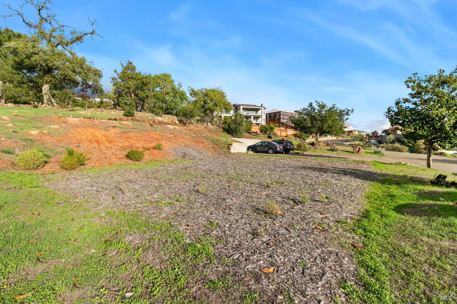3903 Parker Hill Road Santa Rosa, CA 95404 - Photo 15 of 36 a view of dirt yard with a large tree