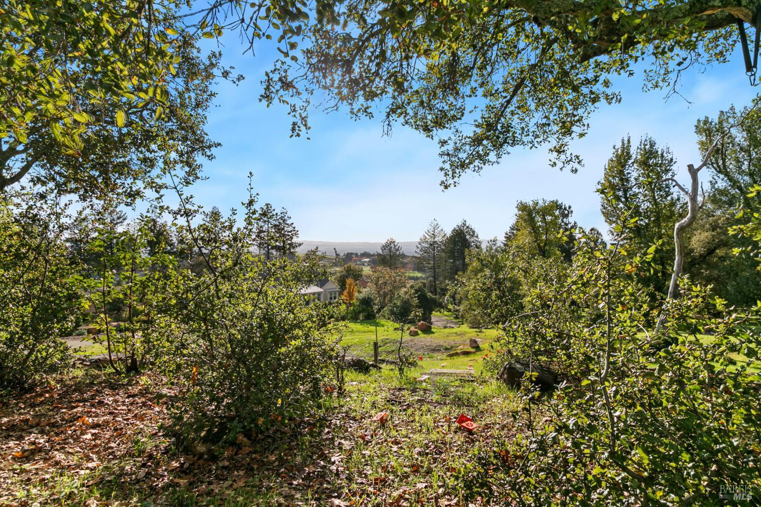 3903 Parker Hill Road Santa Rosa, CA 95404 - Photo 19 of 36 a view of a houses with a yard