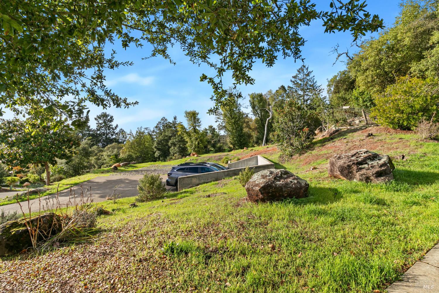 3903 Parker Hill Road Santa Rosa, CA 95404 - Photo 22 of 36 a backyard of a house with lots of green space