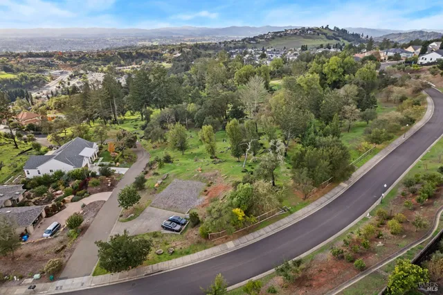 a view of a yard with a tree