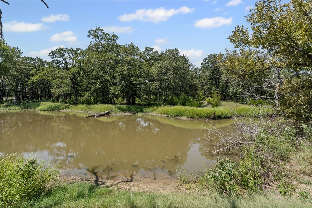 3100 Sarra Lane Springtown, TX 76082 - Photo 22 of 40 a view of a green yard