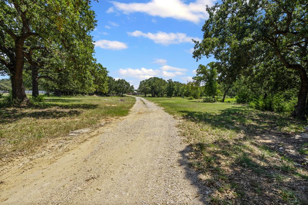 3100 Sarra Lane Springtown, TX 76082 - Photo 8 of 40 a view of a yard with an trees