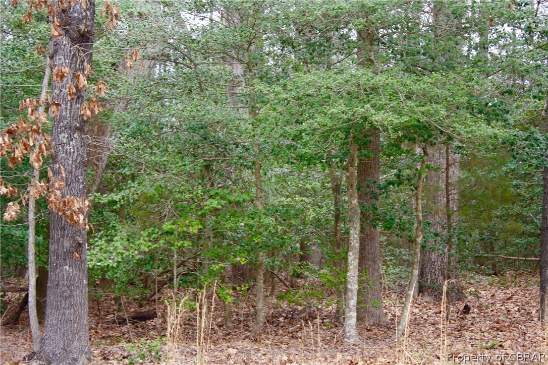 Lot 144 Ridgeview Lane Lancaster, VA 22503 - Photo 2 of 2