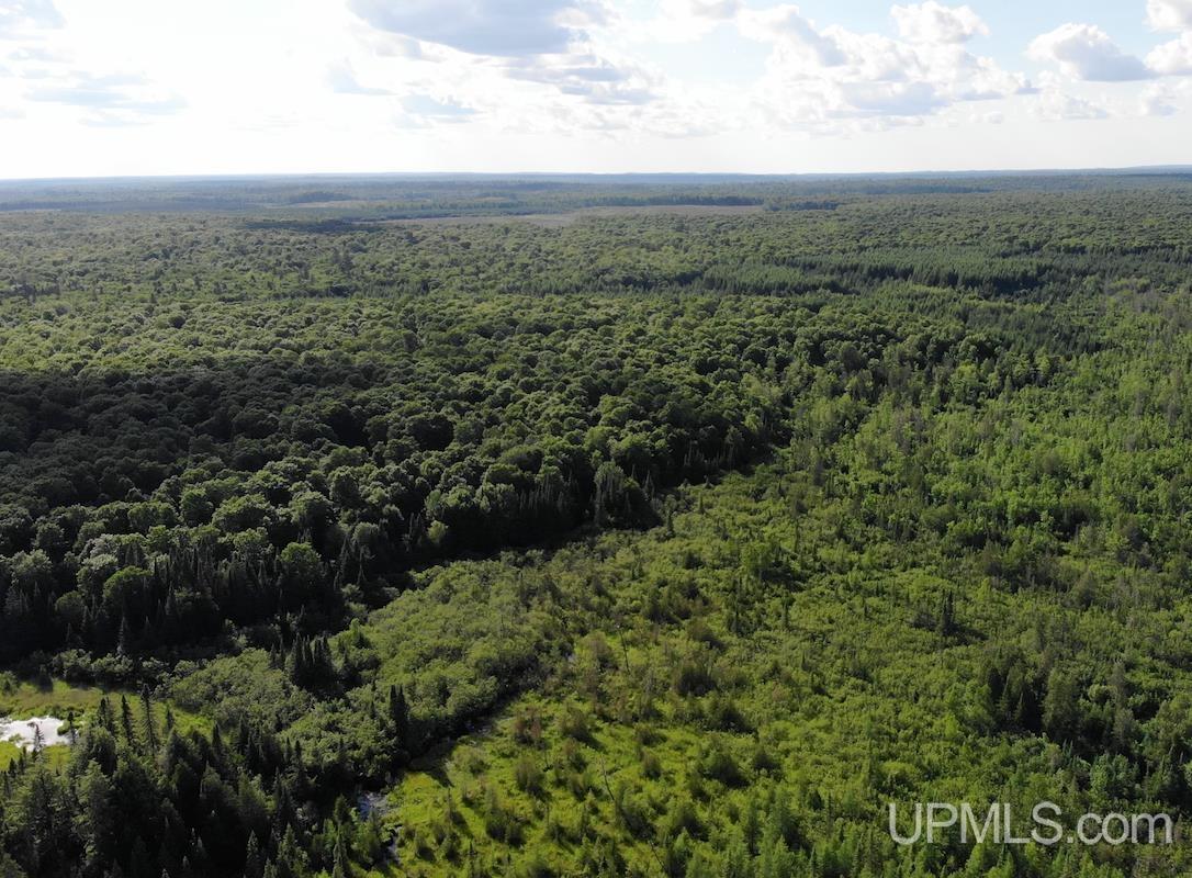 Tbd1 Cut Across Road Michigamme, MI 49861 - Photo 5 of 15
