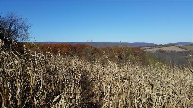 4330 Clover Hollow Road Slatington, PA 18080 - Photo 2 of 8 View from top of property, left side.