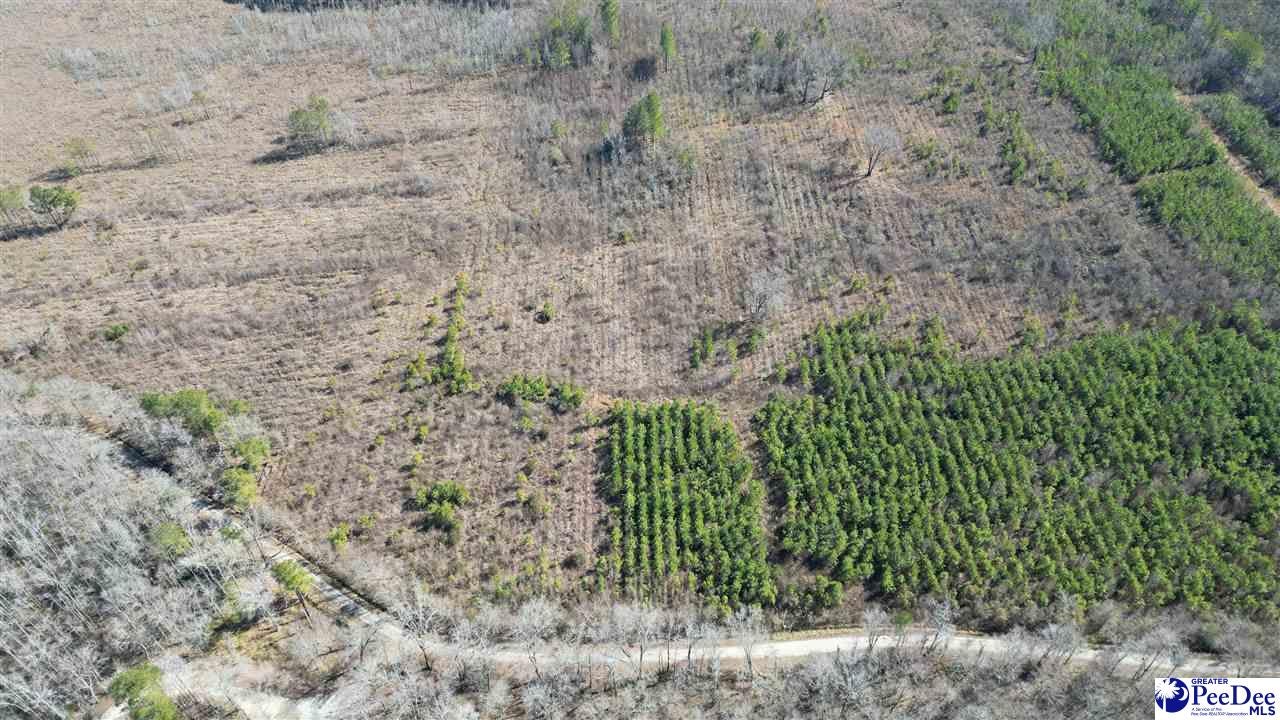 Tbd Peacock Road Marion, SC 29571 - Photo 19 of 55 Gallery Image 19