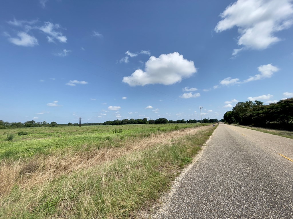 0 Gilley Mill Road Webb, AL 36376 - Photo 10 of 14