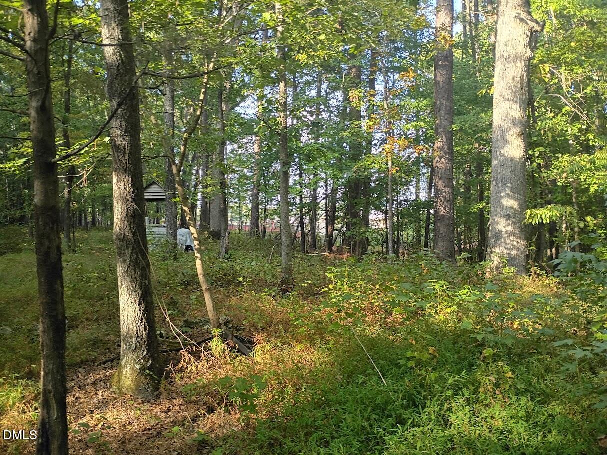 4320 Green Level W Road Apex, NC 27523 - Photo 1 of 27 IMG_20250921_171425795_HDR