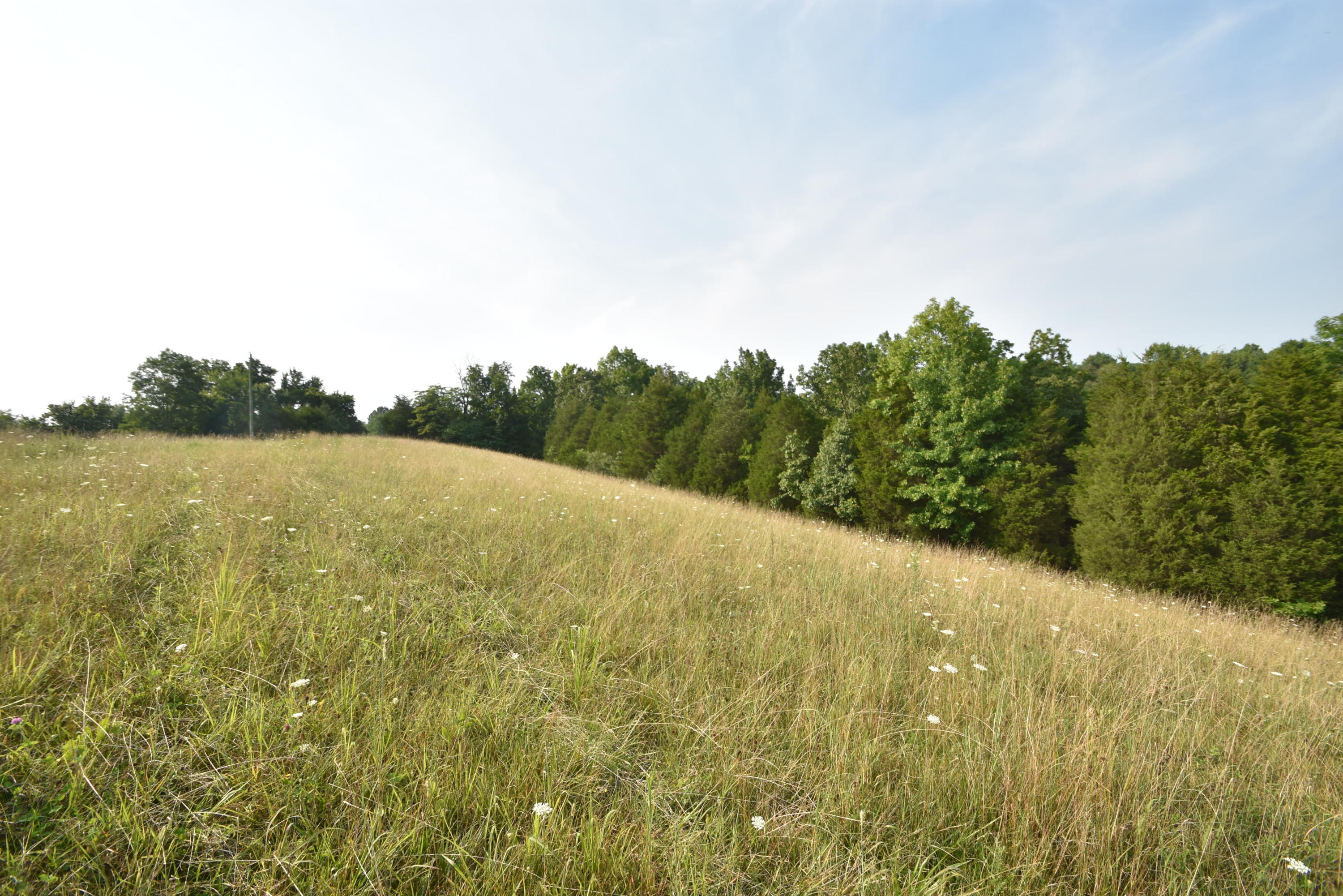 580 Fallis Run Road Harrodsburg, KY 40330 - Photo 14 of 43 DSC_0337