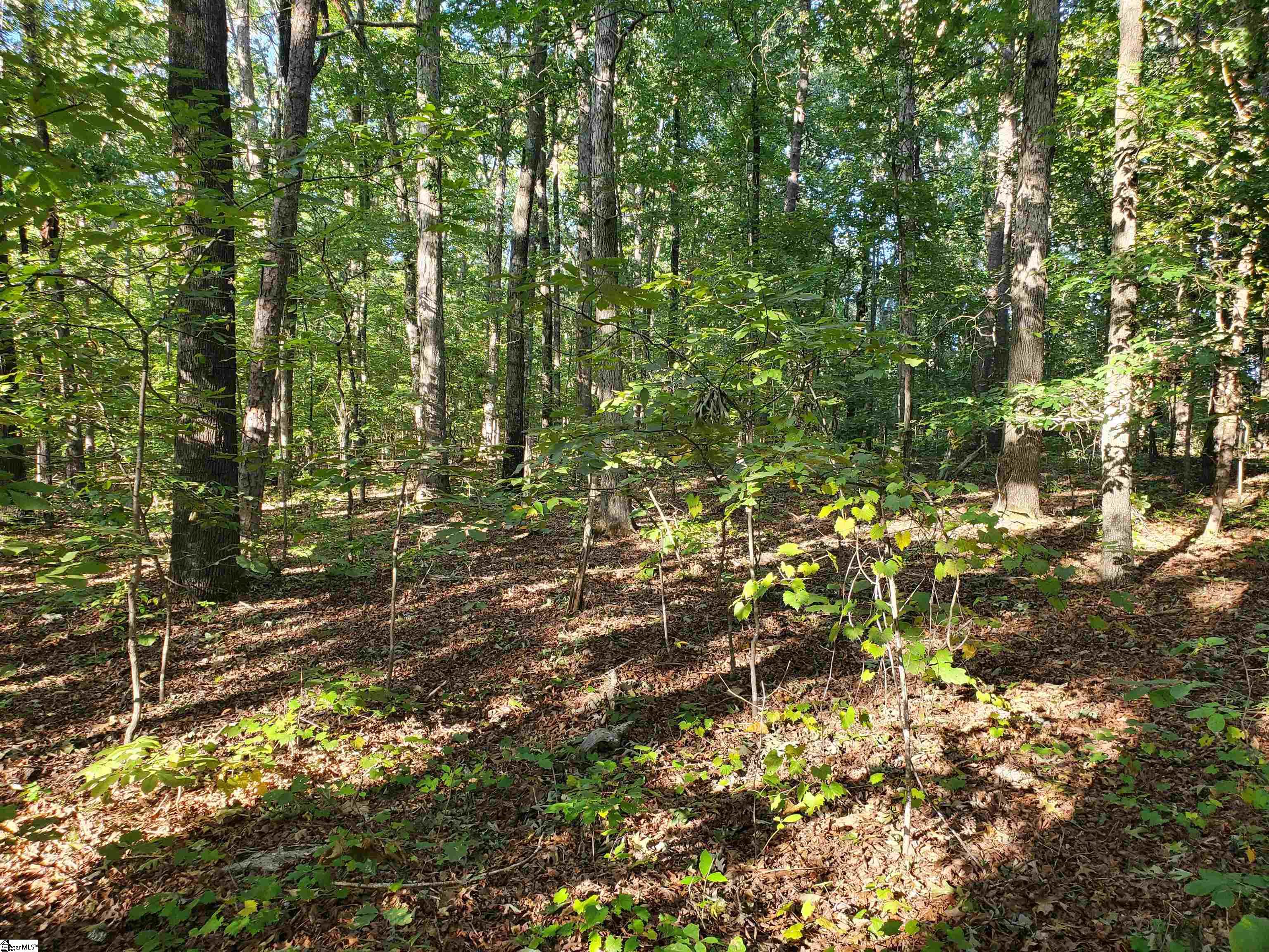 990 Three And Twenty Road Easley, SC 29642 - Photo 2 of 2