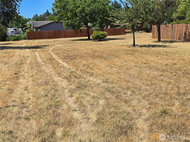 a view of backyard of the house