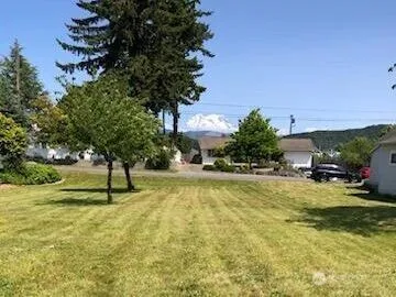 a swimming pool with lots of trees