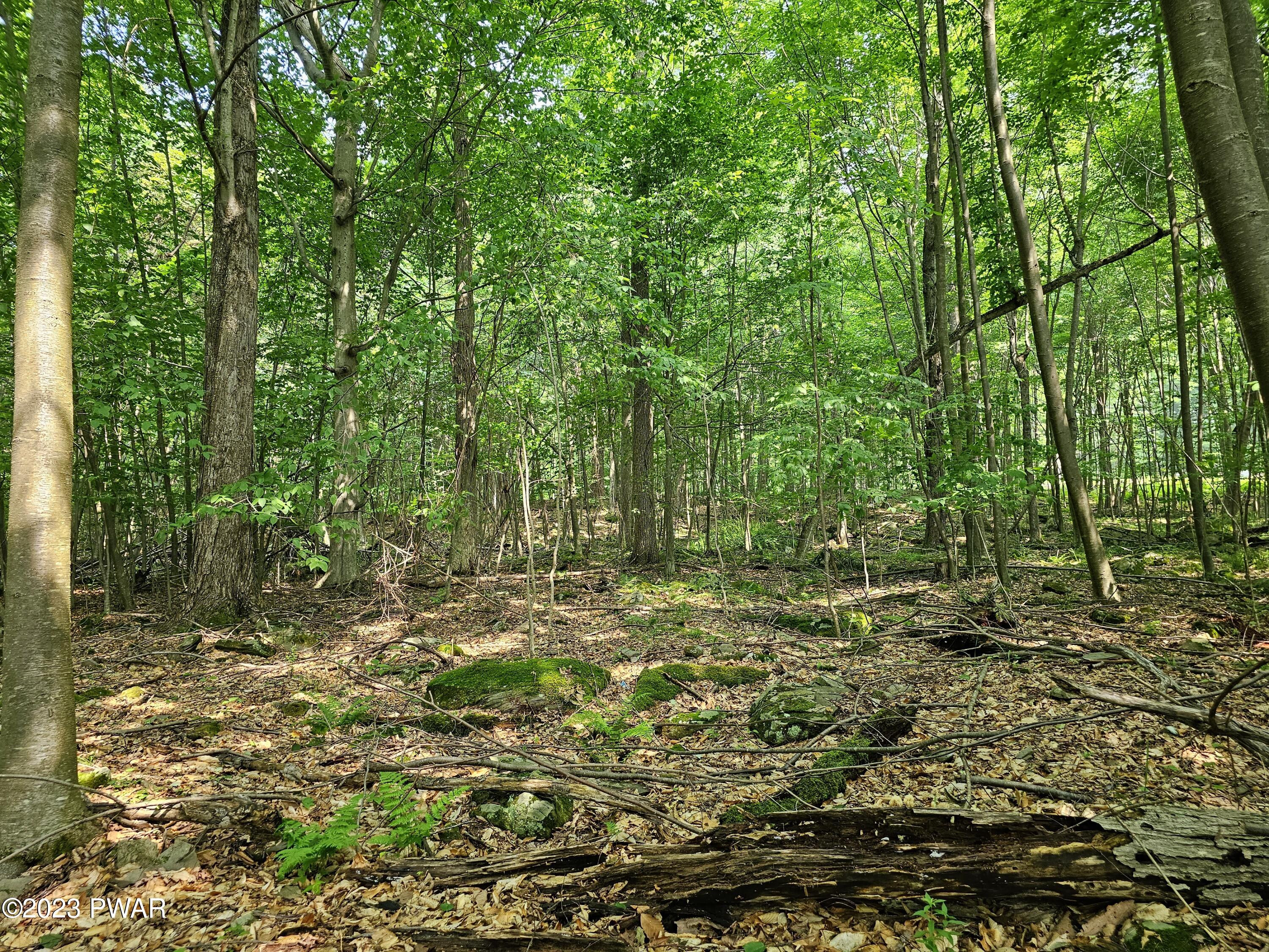 Lot 61 Rock Run Road Damascus, PA 18415 - Photo 17 of 56