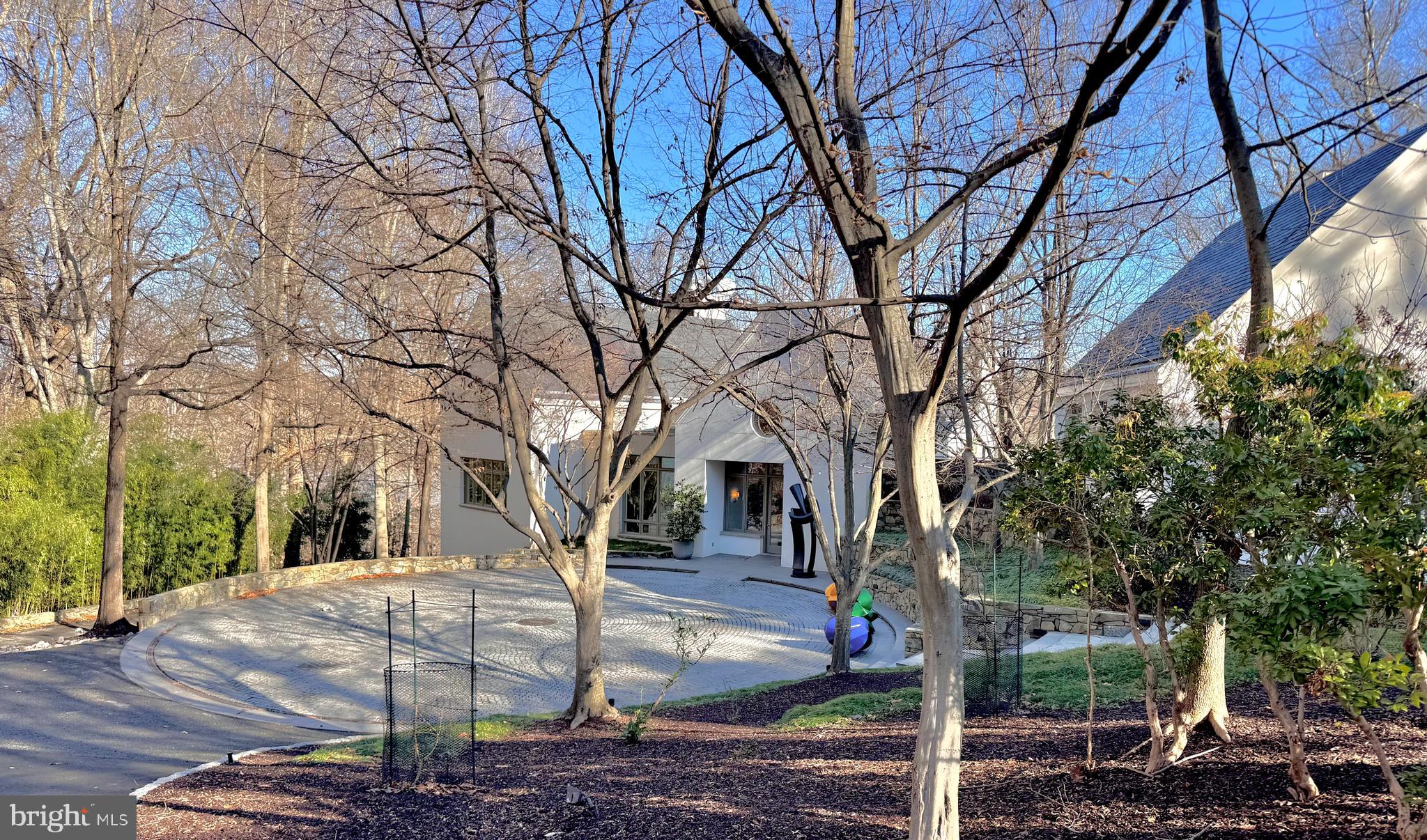 1100 Crest Lane McLean, VA 22101 - Photo 44 of 49 a tree in the middle of a yard