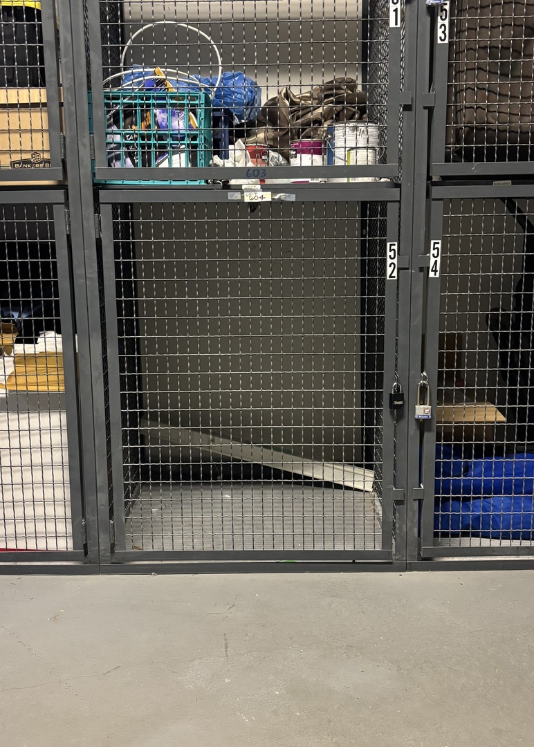 1631 South Michigan Avenue, Unit 604 Chicago, IL 60616 - Photo 19 of 21