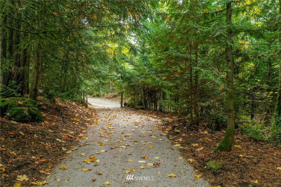 17418 Southeast 106th Street Renton, WA 98059 - Photo 4 of 39 a view of a forest with trees in the background