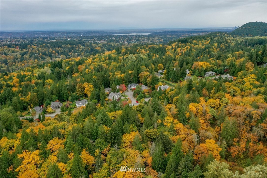 17418 Southeast 106th Street Renton, WA 98059 - Photo 36 of 39 an aerial view of a houses with a yard