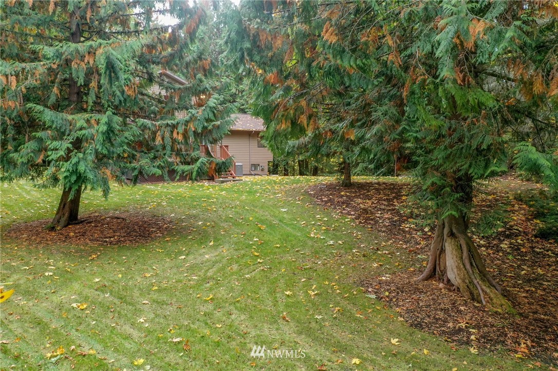17418 Southeast 106th Street Renton, WA 98059 - Photo 37 of 39 a big yard with lots of green space and house