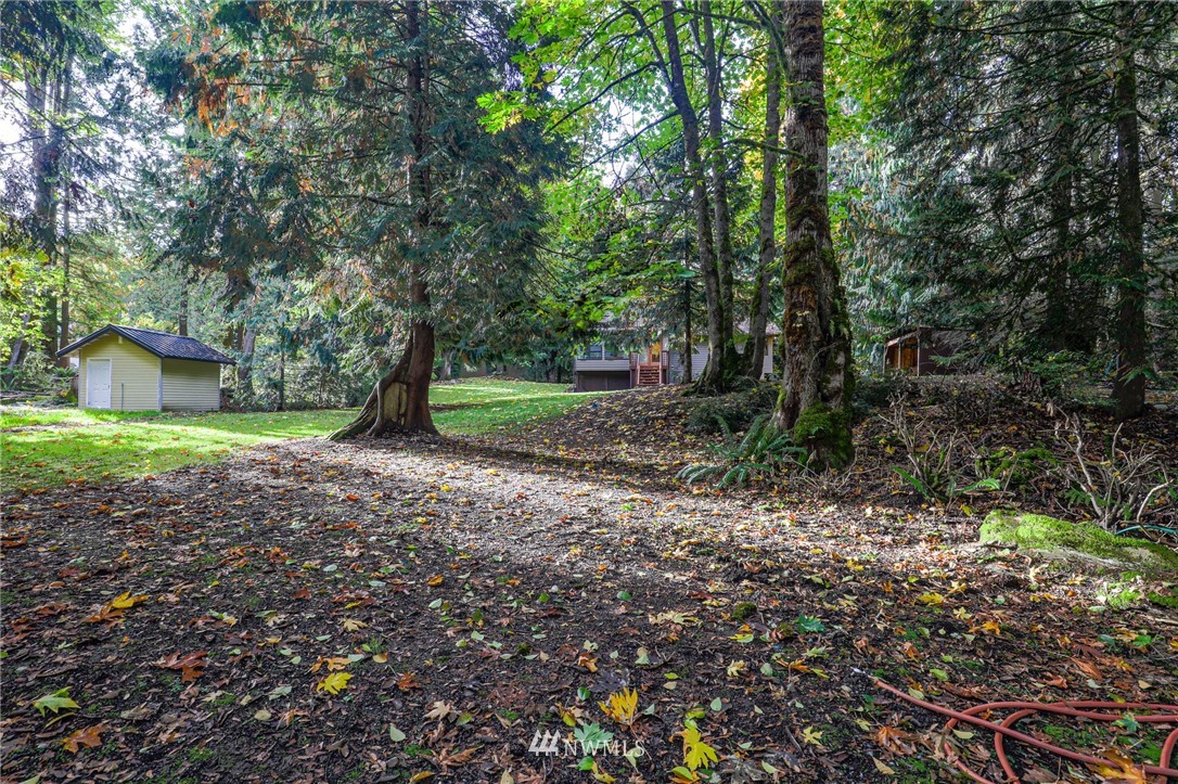 17418 Southeast 106th Street Renton, WA 98059 - Photo 39 of 39 a view of a yard with plants and large trees