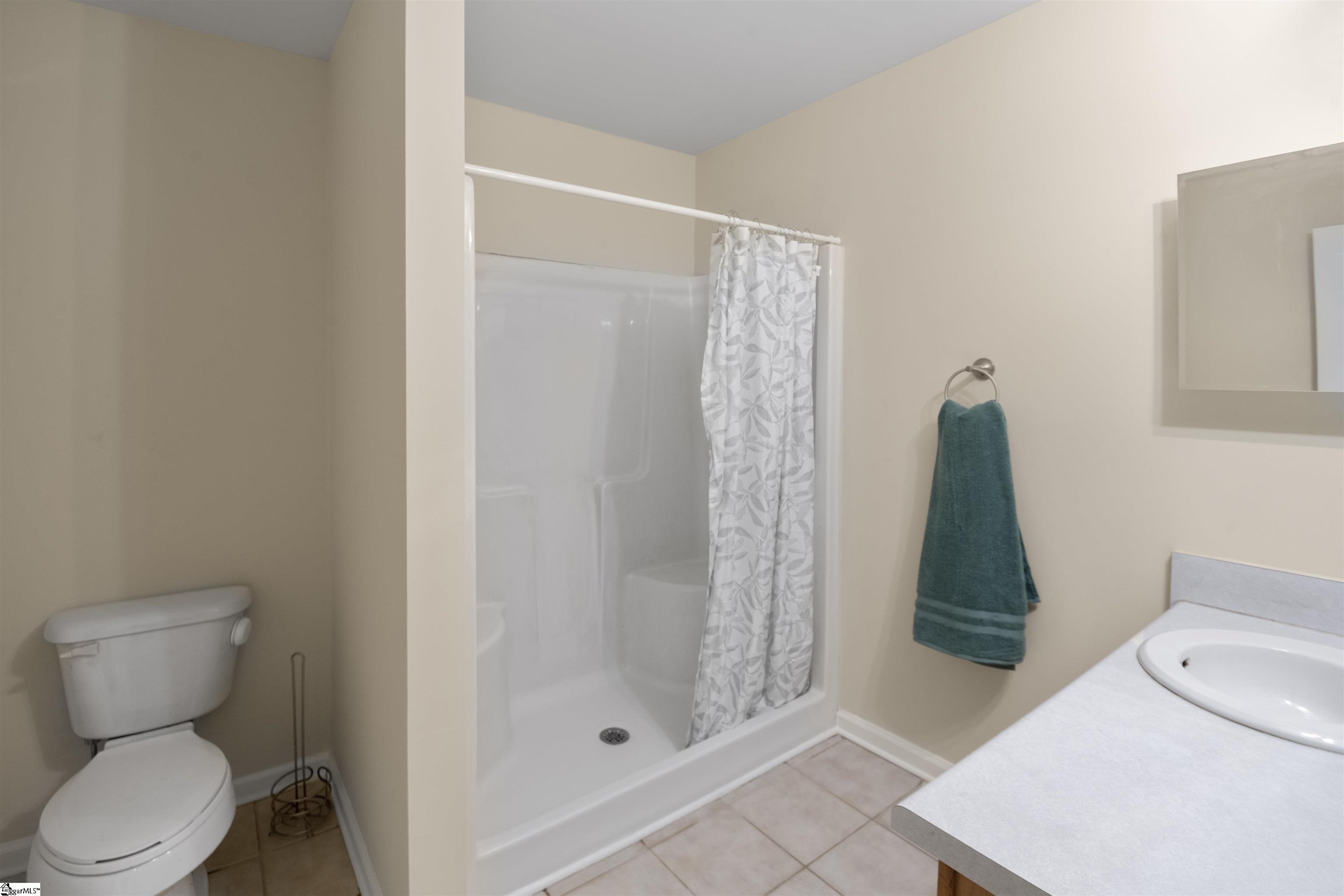 515 Climbing Rose Court Fountain Inn, SC 29644 - Photo 15 of 22 Gallery Image 15