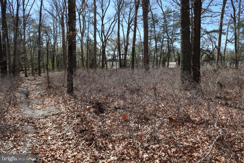 351 Shaws Mill Road Cedarville, NJ 08311 - Photo 21 of 84