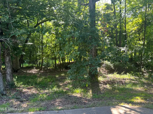 $429,000 | 22115 Highway 315, Sardis, MS 38666