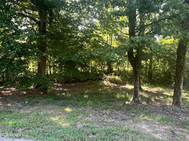 $429,000 | 22115 Highway 315, Sardis, MS 38666