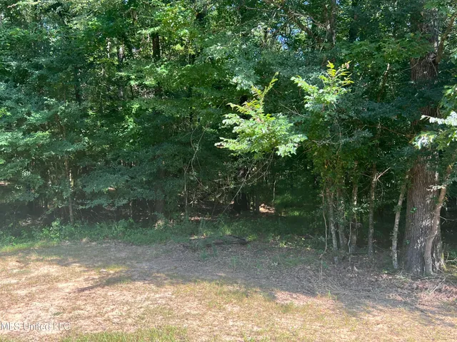 $429,000 | 22115 Highway 315, Sardis, MS 38666