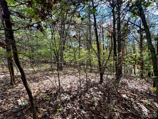 $25,000 | Lot 4 Haverstick School Road, Festus, MO 63028