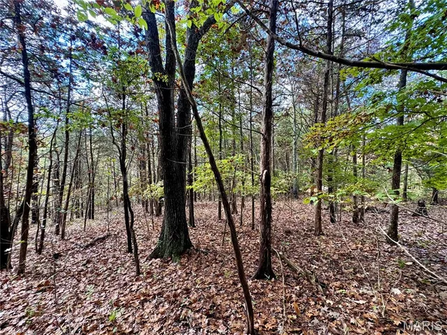 $25,000 | Lot 4 Haverstick School Road, Festus, MO 63028