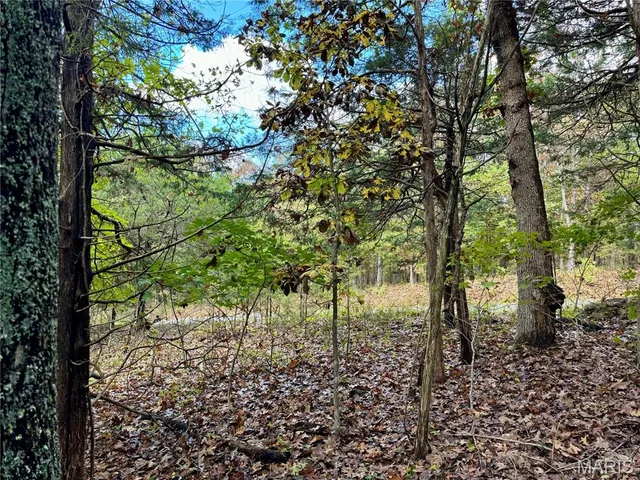 $25,000 | Lot 4 Haverstick School Road, Festus, MO 63028