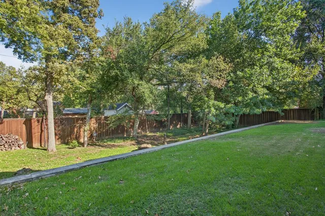 a view of a park with large trees