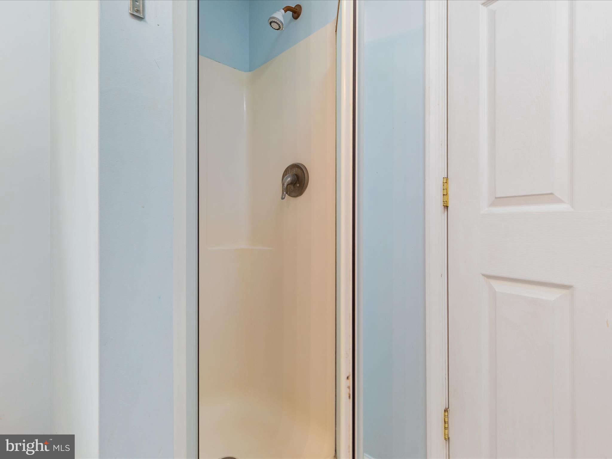 838 Dollar Lane Bunker Hill, WV 25413 - Photo 18 of 68 a bathroom with a shower