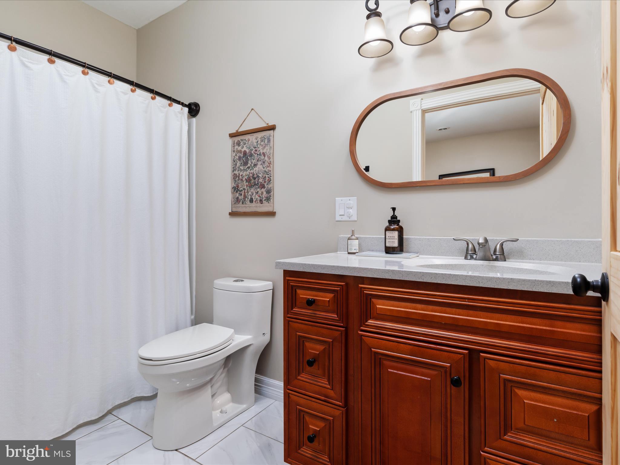 838 Dollar Lane Bunker Hill, WV 25413 - Photo 37 of 68 a bathroom with a sink a toilet and a mirror