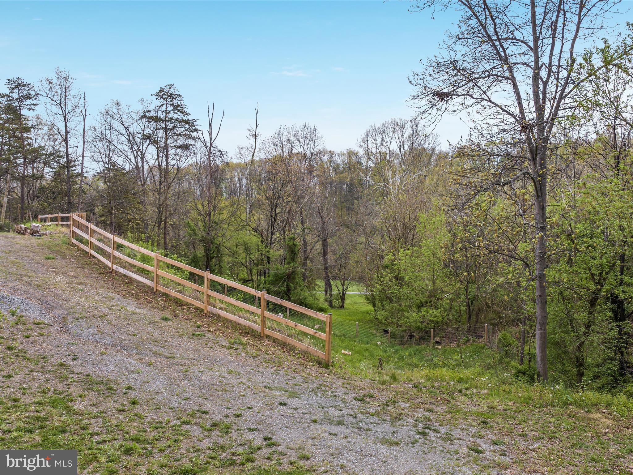 838 Dollar Lane Bunker Hill, WV 25413 - Photo 62 of 68 a view of a forest with a tree