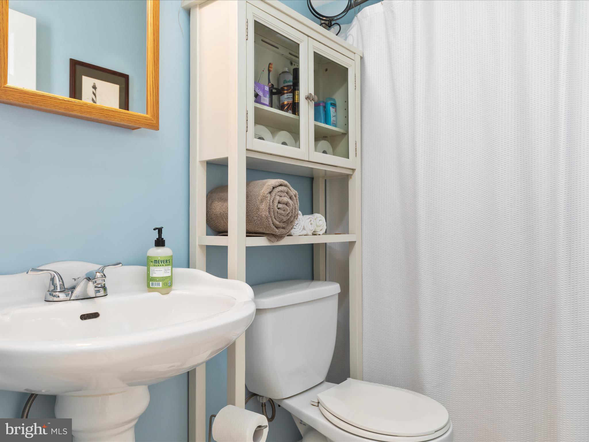838 Dollar Lane Bunker Hill, WV 25413 - Photo 8 of 68 a bathroom with a sink and a toilet